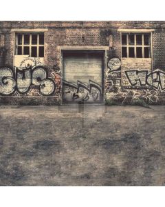 Graffiti wall Computer Printed Photography Backdrop DGX-20