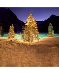 Beautiful XMAS tree Computer Printed Photography Backdrop DGX-21