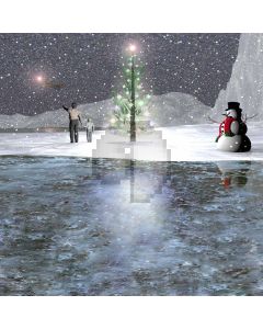 XMAS snow scene Computer Printed Photography Backdrop DGX-25