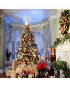 XMAS gifts Computer Printed Photography Backdrop DGX-26
