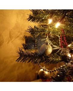 Xmas Tree Closeup Computer Printed Photography Backdrop DGX-28