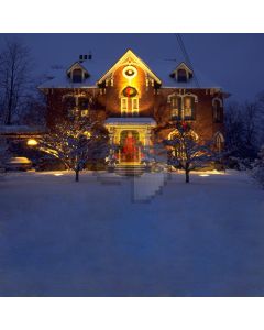 Snowy night Computer Printed Photography Backdrop DGX-29