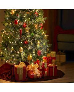 Christmas Gifts Computer Printed Photography Backdrop DGX-31