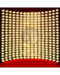 Gorgeous Stage Computer Printed Photography Backdrop DGX-346