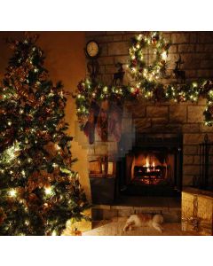 Xmas Decorations Computer Printed Photography Backdrop DGX-34