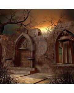 Castle Surprise  Computer Printed Photography Backdrop DGX-367