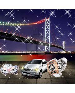 Luxury Goods Exhibition Computer Printed Photography Backdrop DGX-382