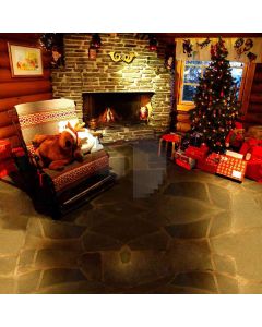 Warm Xmas Eve Computer Printed Photography Backdrop DGX-41
