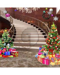 Xmas Atmosphere Computer Printed Photography Backdrop DGX-453