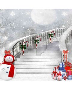 Snowy Xmas Eve Computer Printed Photography Backdrop DGX-456