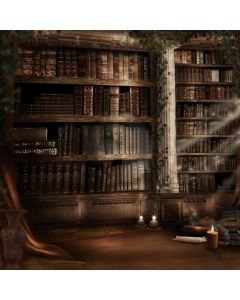 Beautiful retro bookshelf Computer Printed Photography Backdrop DGX-481