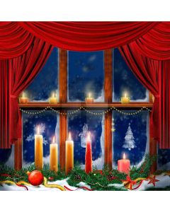 Xmas Atmosphere Computer Printed Photography Backdrop DGX-50