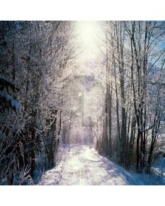 After Snowing Woods Computer Printed Photography Backdrop DGX-52