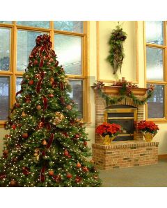 Indoor Xmas Tree Computer Printed Photography Backdrop DGX-65