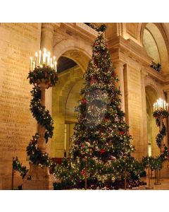 Nice Xmas Tree Computer Printed Photography Backdrop DGX-66
