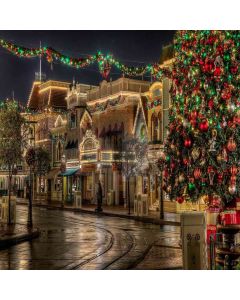Outdoor Xmas Atmosphere Computer Printed Photography Backdrop DGX-87