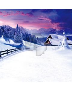 Snow scene Computer Printed Photography Backdrop DT-11-08