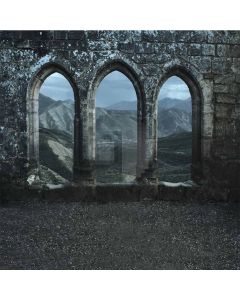 Stone building Computer Printed Photography Backdrop DT-11-16