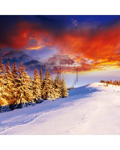 Snow scene Computer Printed Photography Backdrop DT-11-236