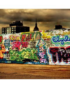 Graffiti wall Computer Printed Photography Backdrop DT-11-266