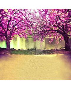 Fine And Warm  Computer Printed Photography Backdrop DT-11-29