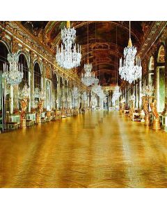Ornate Palace Construction Computer Printed Photography Backdrop DT-11-39