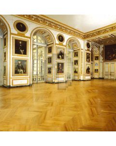 European interior architecture Computer Printed Photography Backdrop DT-11-40