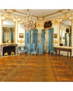 European style room Computer Printed Photography Backdrop DT-11-42