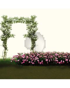 Beautiful flowers Computer Printed Photography Backdrop DT-11-96