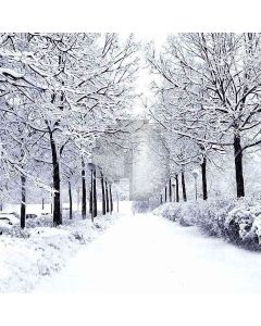 Beautiful Snow Scene Computer Printed Photography Backdrop DT-12-15