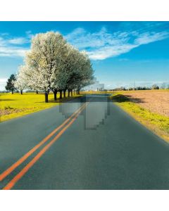 Suburban road big trees Computer Printed Photography Backdrop DT-12-83