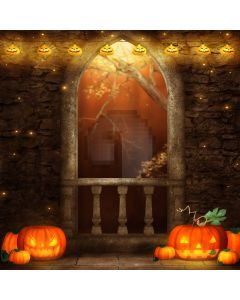 Halloween night Computer Printed Photography Backdrop DT-LP-0024