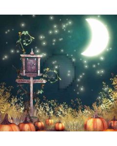 Moon Day  Computer Printed Photography Backdrop DT-LP-0032