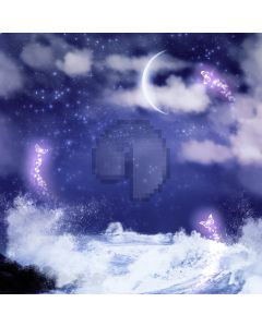 Beautiful night sky Computer Printed Photography Backdrop DT-LP-0054
