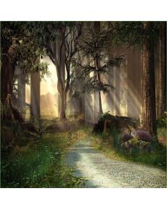 Peaceful Forest  Computer Printed Photography Backdrop DT-LP-0068
