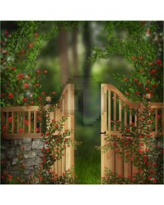 Door With Stone  Computer Printed Photography Backdrop DT-LP-0069