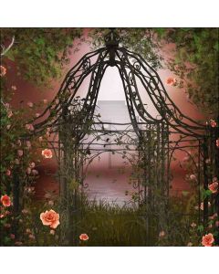 Desolate Door  Computer Printed Photography Backdrop DT-LP-0070