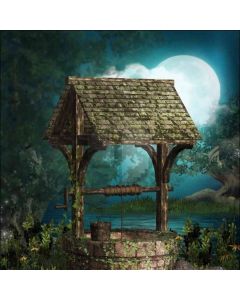 Dry Well  Computer Printed Photography Backdrop DT-LP-0074