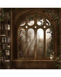 Silently  Computer Printed Photography Backdrop DT-LP-0076