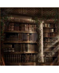 Rows Of Books Computer Printed Photography Backdrop DT-LP-0079