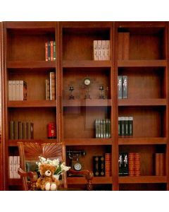 Personality Bookcase  Computer Printed Photography Backdrop DT-LP-0121