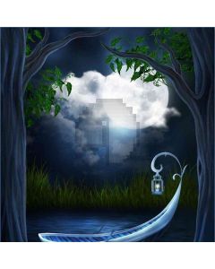 Bright Full Moon Computer Printed Photography Backdrop DT-LP-0170