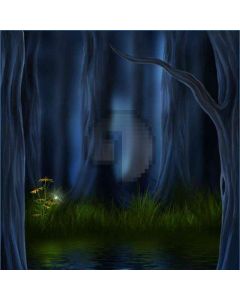 The Dead Of Night  Computer Printed Photography Backdrop DT-LP-0172