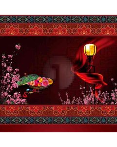 Classical Ethnic Style Computer Printed Photography Backdrop DT-LP-0187