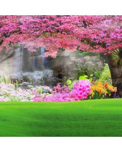 Picturesque Scenery  Computer Printed Photography Backdrop DT-LP-0198