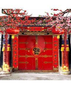 Quadrangle Door Computer Printed Photography Backdrop DT-LP-0205