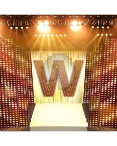 Brilliant Lighting Stage Computer Printed Photography Backdrop DT-LP-0208