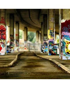 Roadside Graffiti Wall Computer Printed Photography Backdrop DT-LP-0231