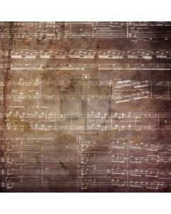 Stave wall Computer Printed Photography Backdrop DT-LP-0239