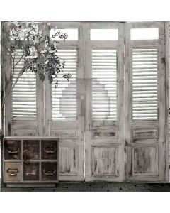 Door Plank  Computer Printed Photography Backdrop DT-LP-0254